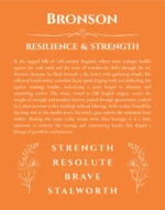 Bronson custom name meaning print in orange
