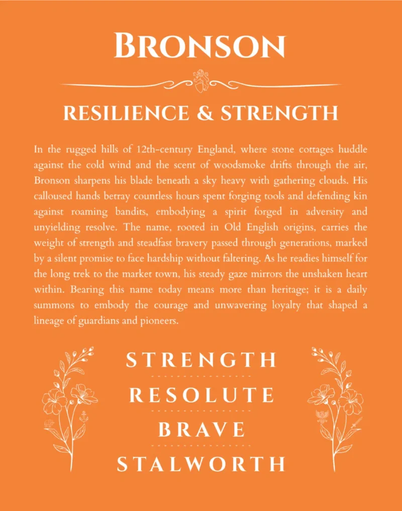 Bronson custom name meaning print in orange