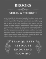 Brooks personalized name art with origin story in gray