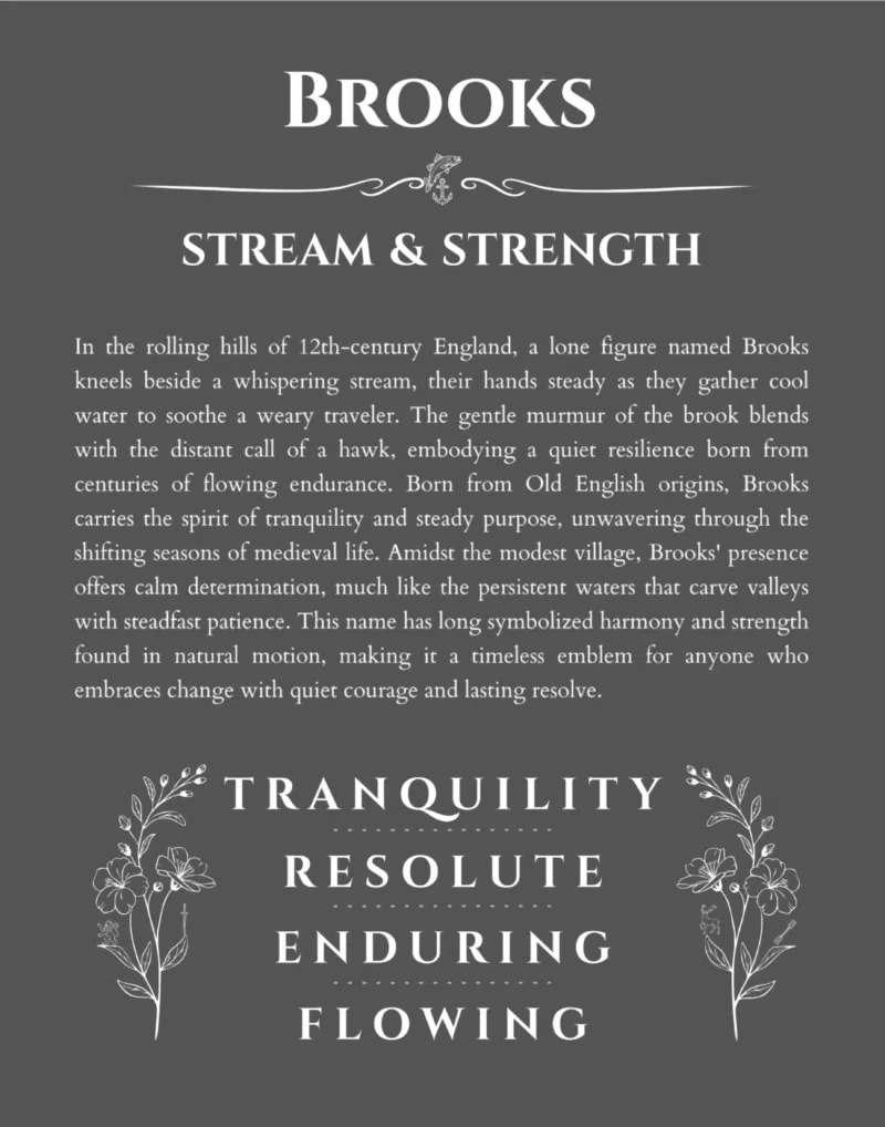 Brooks personalized name art with origin story in gray
