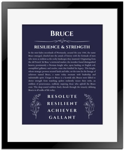 Bruce personalized name meaning print in navy blue with black matte frame