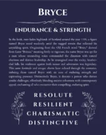Bryce personalized name print with origin and traits in navy blue