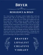 Bryer custom name art showing meaning and origin in deep blue