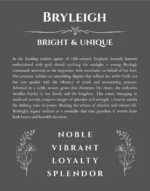 Bryleigh personalized name print with origin and traits in gray