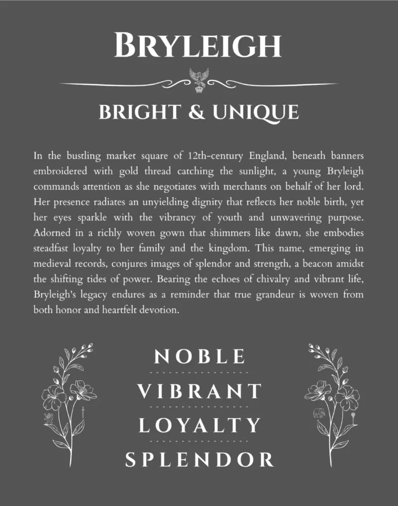 Bryleigh personalized name print with origin and traits in gray