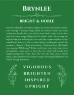 Brynlee personalized name print with origin and traits in dark green
