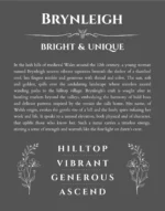 Brynleigh custom name art showing meaning and origin in gray