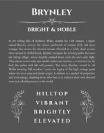 Brynley name meaning gift print in gray