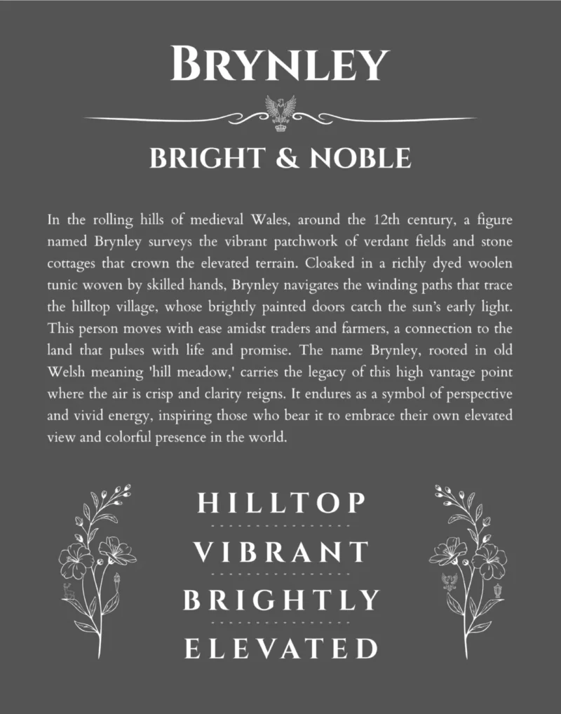 Brynley name meaning gift print in gray