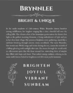 Brynnlee name meaning wall art by Get Your Story in gray
