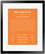 Brynnleigh personalized wall art with the story of your name in orange with black matte frame