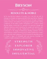 Bryson personalized wall art with the story of your name in pink