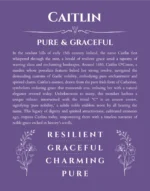 Caitlin custom name art showing meaning and origin in purple