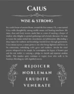 Caius name meaning wall art by Get Your Story in gray