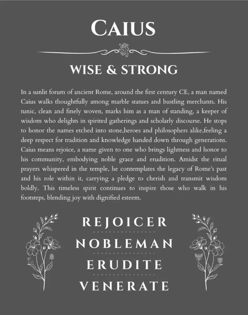 Caius name meaning wall art by Get Your Story in gray