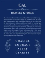Cal personalized name print with origin and traits in deep blue