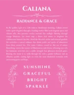 Caliana custom name print for wall display in pink