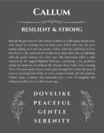 Callum custom name art showing meaning and origin in gray