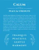 Calum personalized name art with origin story in blue