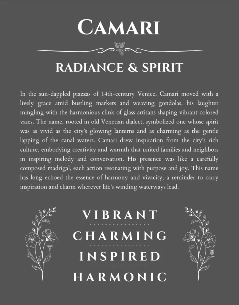 Camari personalized name art with origin story in gray