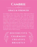 Cambrie name meaning gift print in pink