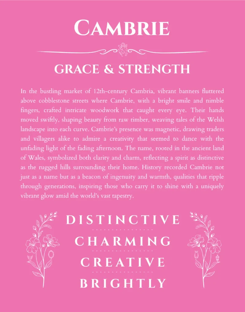 Cambrie name meaning gift print in pink
