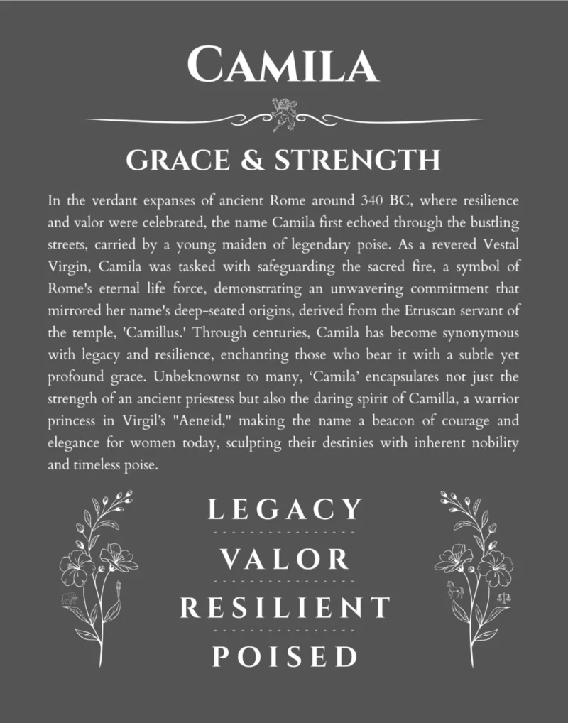 Camila custom name art showing meaning and origin in gray