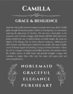 Camilla name meaning wall art by Get Your Story in gray