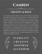 Camren personalized wall art with the story of your name in gray