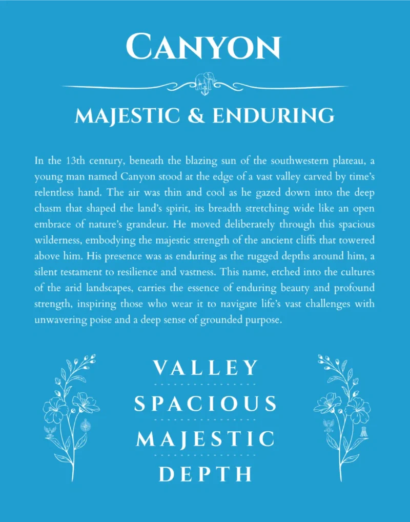 Canyon personalized name meaning print in blue
