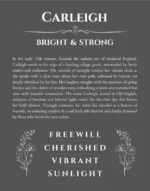 Carleigh personalized name meaning print in gray