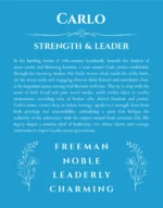 Carlo personalized name print with origin and traits in blue