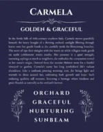 Carmela personalized name meaning print in navy blue