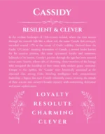 Cassidy personalized name print with origin and traits in pink