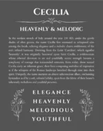 Cecilia personalized name print with origin and traits in gray