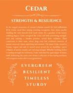 Cedar personalized name print with origin and traits in orange