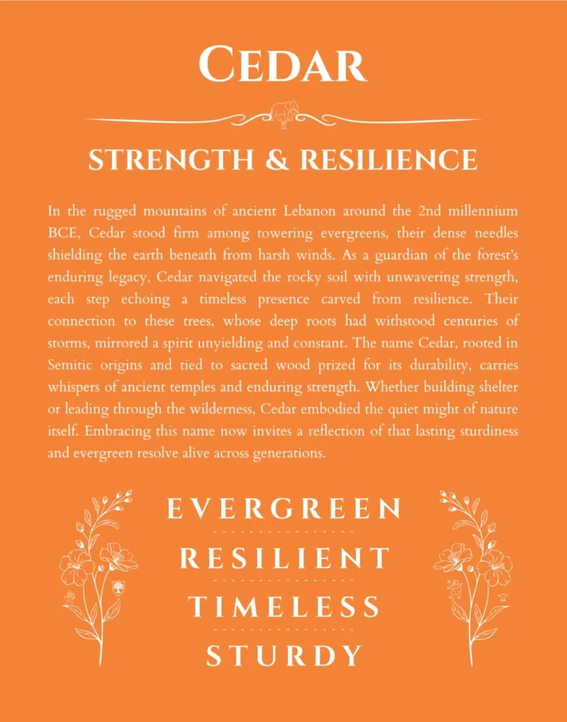 Cedar personalized name print with origin and traits in orange