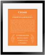 Cedar personalized name print with origin and traits in orange with black matte frame