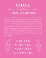 Chace personalized name art with origin story in pink