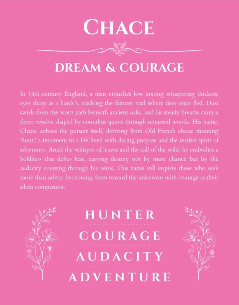 Chace personalized name art with origin story in pink