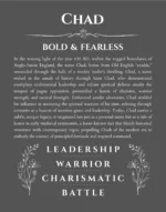 Chad personalized name print with origin and traits in gray