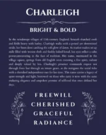 Charleigh personalized name meaning print in navy blue