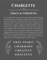 Charlette custom name print for wall display in gray