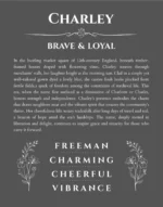 Charley custom name art showing meaning and origin in gray