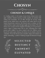 Chosyn personalized name meaning print in gray