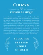 Chozyn custom name print for wall display in blue