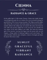 Cienna personalized name art with origin story in navy blue