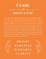 Clare personalized name print with origin and traits in orange