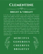 Clementine personalized name art with origin story in dark green