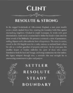 Clint personalized name print with origin and traits in gray
